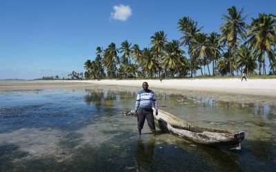 Como os Países Baixos estão a tornar Moçambique viciado em energia fóssil